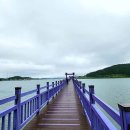 퍼플여행 이미지