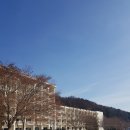 양평 한화리조트 네이버블로그