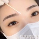자연미인눈썹 이미지