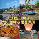 채희농장 | 🇲🇾 싱가포르 국경 넘어 말레이시아 조호바루 조호루바루 코타팅기 반딧불이 풍등 체험 칠리크랩 후기!