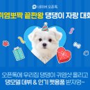 우리집 강아지 이미지