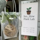 부산 남포동 쏘슬로우 플랜트랩, 코케다마 클래스 후기