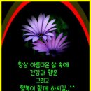 행복주차장 이미지