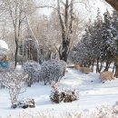 하얀마을어린이공원 이미지