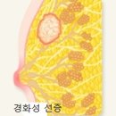 기성정밀 이미지