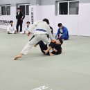 블랙벨트 체육관 이미지