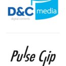 픽펄스