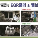 (주)SH모터스 이미지