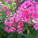 순이네농장 이미지