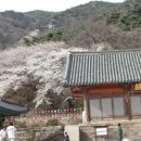 산정여관