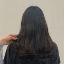 노블헤어 이미지