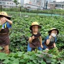 매화숲유치원 이미지