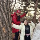 오니비니 이미지