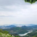 포라이즌 이미지