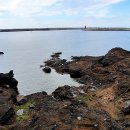 한라산을바라보는쉼터 이미지