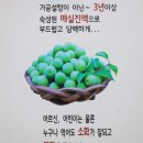 샘토숯불닭갈비남춘천역점 이미지