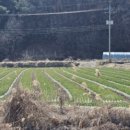 다산대구사무소 네이버블로그