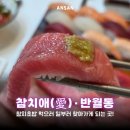 도로변(구로중앙로28길 66)(1) | 안산 참치맛집 두툼한 참치초밥 반월역 참치애 재방문 후기