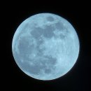 블루문(BlueMoon) 이미지