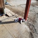 황우목장 이미지