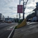 [태국 푸켓] 푸켓 근교 섬 투어 후기🌊 피피섬 마야베이 카이섬 하루 일정