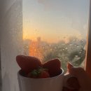 [이탈리아 베네치아] Day 8. 자연 경관의 아름다움 돌로미티, 마이리얼트립 뇨미투어 후기!