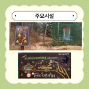 국립춘천숲체원 이미지