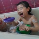 해피병풀 이미지