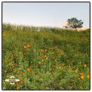 안성맞춤랜드공원8 이미지