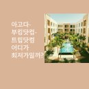 호텔 예약 사이트 비교: 아고다 vs 부킹닷컴 vs 트립닷컴