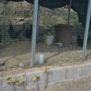 그림책 꽃밭 이미지