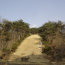 이사위묘 이미지