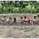 태호농장 이미지