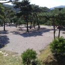 솔뜰캠핑장 이미지
