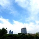 신세계주 이미지