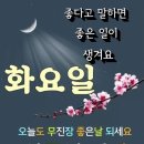 오늘도 이미지