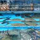 속초회수산 이미지