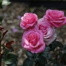 단골손님도 서점의 주인이다. 이미지