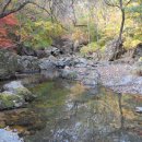 산중농원 이미지