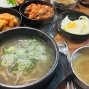 유성대로(유성-31) 이미지