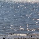 여여담2 이미지