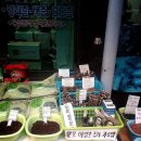 시장건강원 이미지