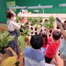 (주)힐링팜 이미지