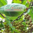 해솔농장 이미지