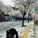 임금님전집 - 충주시 첨단쉼터7길 7 | 임금님전집