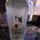 GS25진해용원점 | 고양이 콘셉트가 귀여운 진해 석동 술집! 이자카야 '시선' :: 살얼음 우베 막걸리 &amp; 명란구이 2차 후기