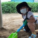 모아유치원 이미지