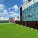 도그인 그레이 이미지