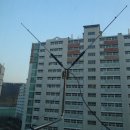 강화벤뎅이 이미지