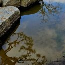 고스락